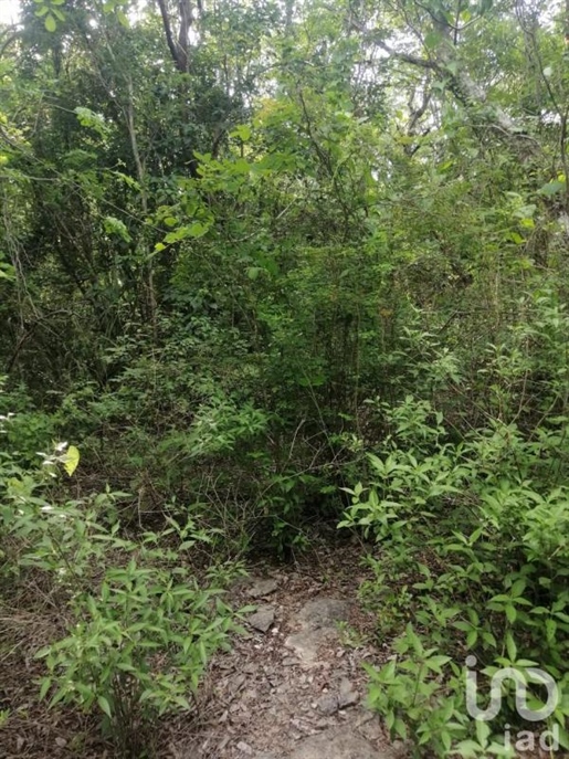 Rustic land for sale, north of Mazatlan, without