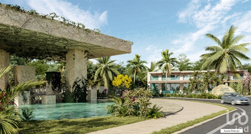 Residential Land in Presale Puerto Progreso, Yucatan