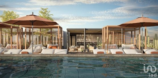 Pre-sale Apartment 250 Mt Marina Cabo San Lucas, Los Cabos, Baja California Sur