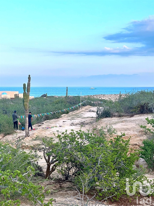 Country land for sale in Cabo del Este