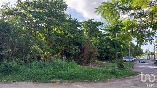 Terreno En Venta Benito Juarez, Quintana Roo