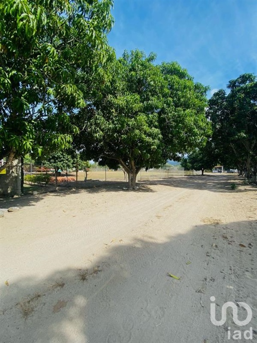 Grundstück zum Verkauf in Puerto Vallarta