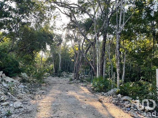 Terreno en Venta en Región 15 - Tulum, Quintana Roo