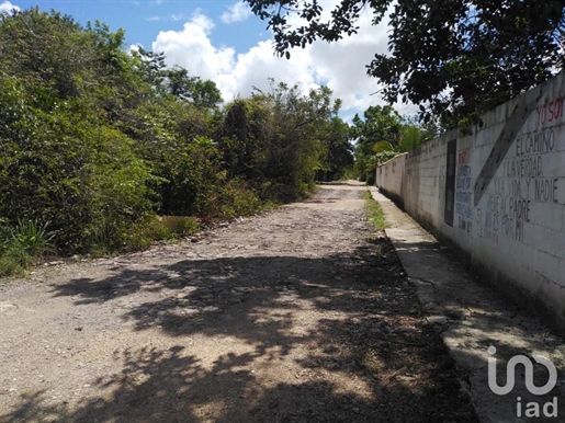 Terrain à vendre Sm 106, Près de Av. Jose Lopez Portillo, Cancun, Quintana Roo