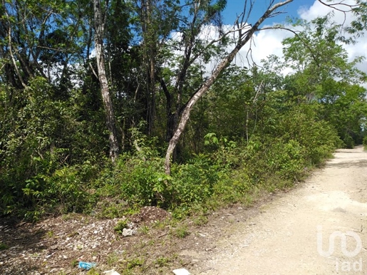 Terreno En Venta Sm 106, Cerca De La Av. Jose Lopez Portillo, Cancún, Quintana Roo