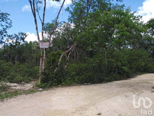 Terrain à vendre Sm 106, Près de Av. Jose Lopez Portillo, Cancun, Quintana Roo