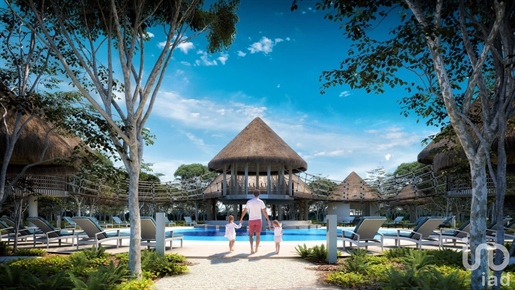 Advert picture