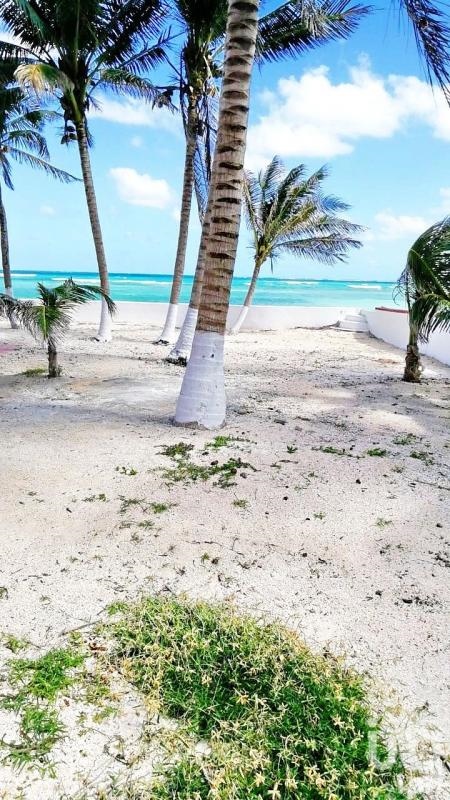Land for sale Beach Front - Puerto Morelos