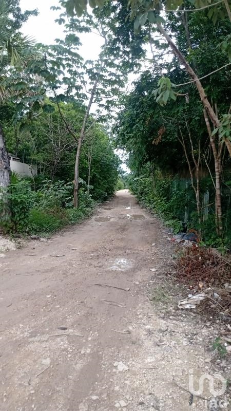 Grundstücke zum Verkauf in La Veleta! Tulum, Quintana Roo