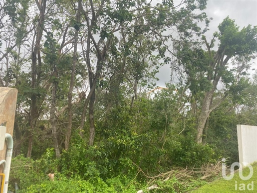 Terrain à vendre dans la résidence Lagos del Sol en face du lac à Cancun Quintana Roo