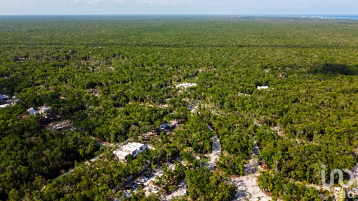 Single-Family Lots in Magnificent Development in Downtown Tulum!
