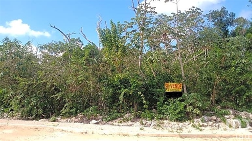 Last lots in residential gated community just 5 minutes from Tulum!
