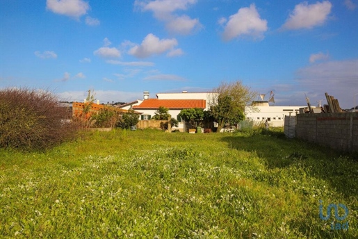 Traditionelles Haus in Torres Vedras, Lisboa