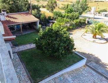Detached 3 bedroom villa with 6900m2 land, located in the Campilhos area in São Bartolomeu de Messin