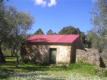 Farm Land (8.200m²) With Rural Building...