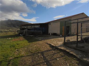 Property Ideal For Agricultural Activities With 2 Warehouses !! 106.020m² (10ha) !! Beautiful Landsc
