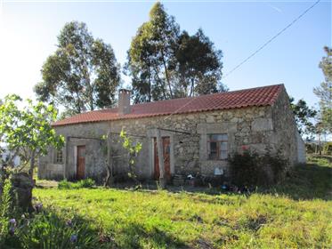 Excelente Farm House With An Area Of 8.400m². Beautiful Place, Very Private..Vines, Olives Trees...L