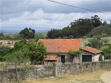 Farm (8.840m²) With Building, Electricity, Fruit Trees, Vines, Olive Field…Quiet Place