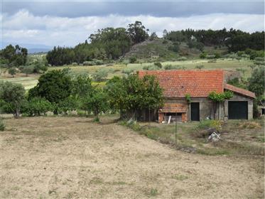 Farm (8.840m²) With Building, Electricity, Fruit Trees, Vines, Olive Field…Quiet Place
