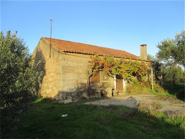 Beautiful Farm Land (7.000M2) With Urban Construction In Stone!!
