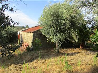 Spectacular Farm with 2 Urban Buildings with 225m2
