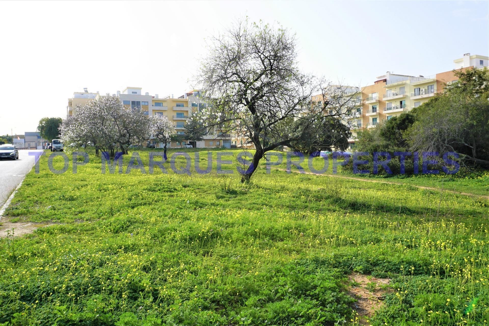 Building Land with 3640 m2 in Olhão
