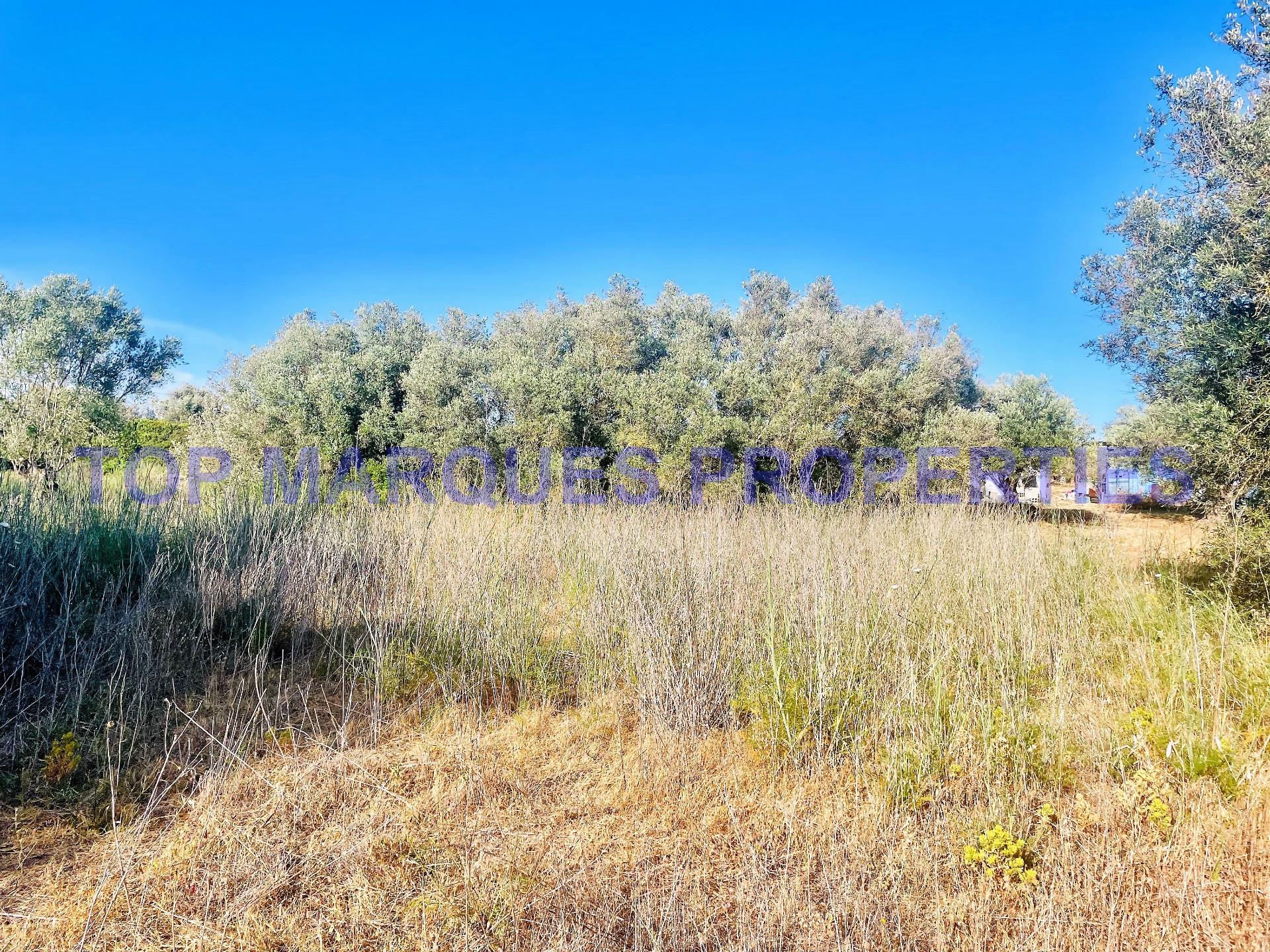 Gemengd land te koop in Quelfes, Olhão