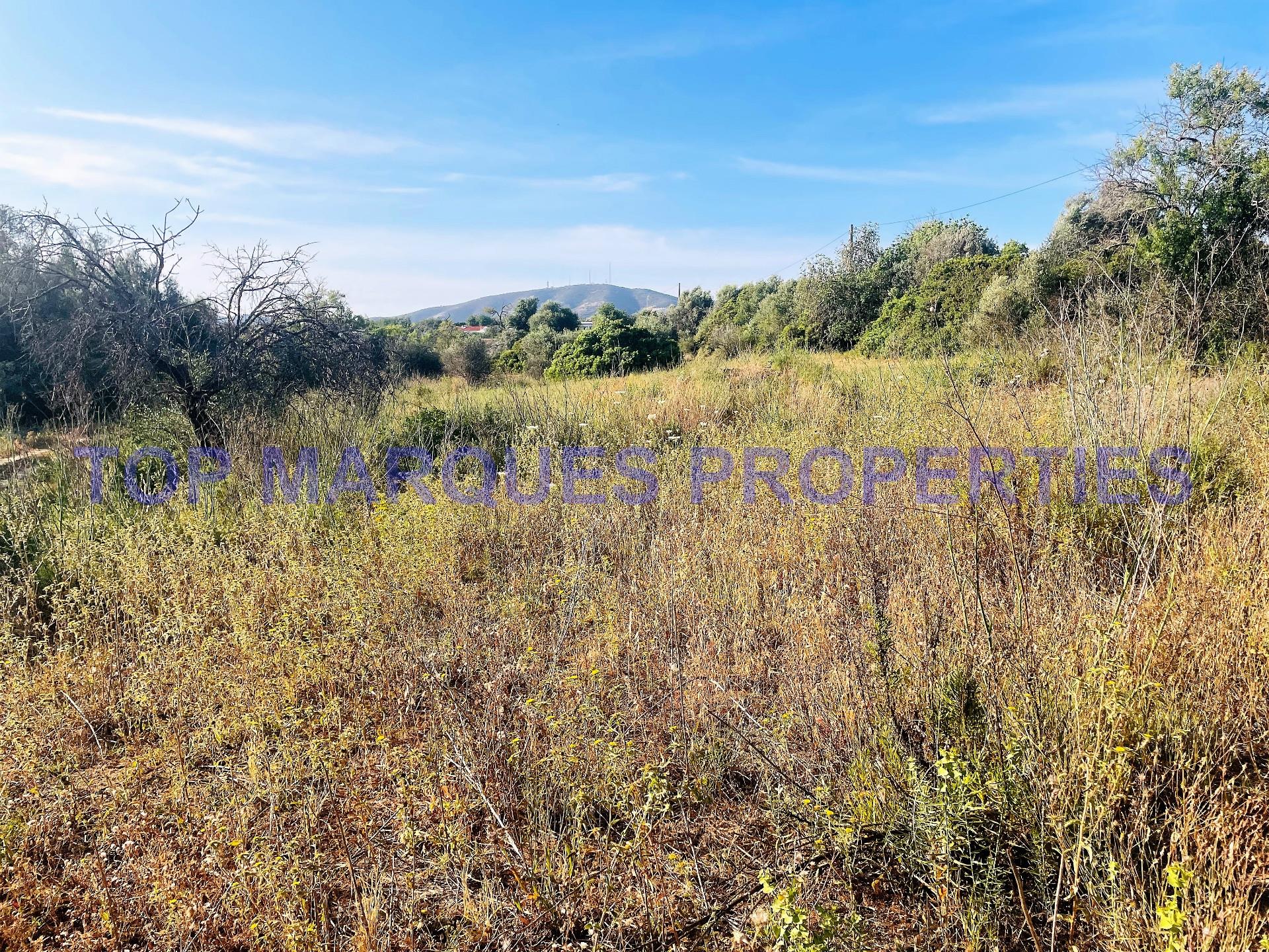 Gemengd land te koop in Quelfes, Olhão