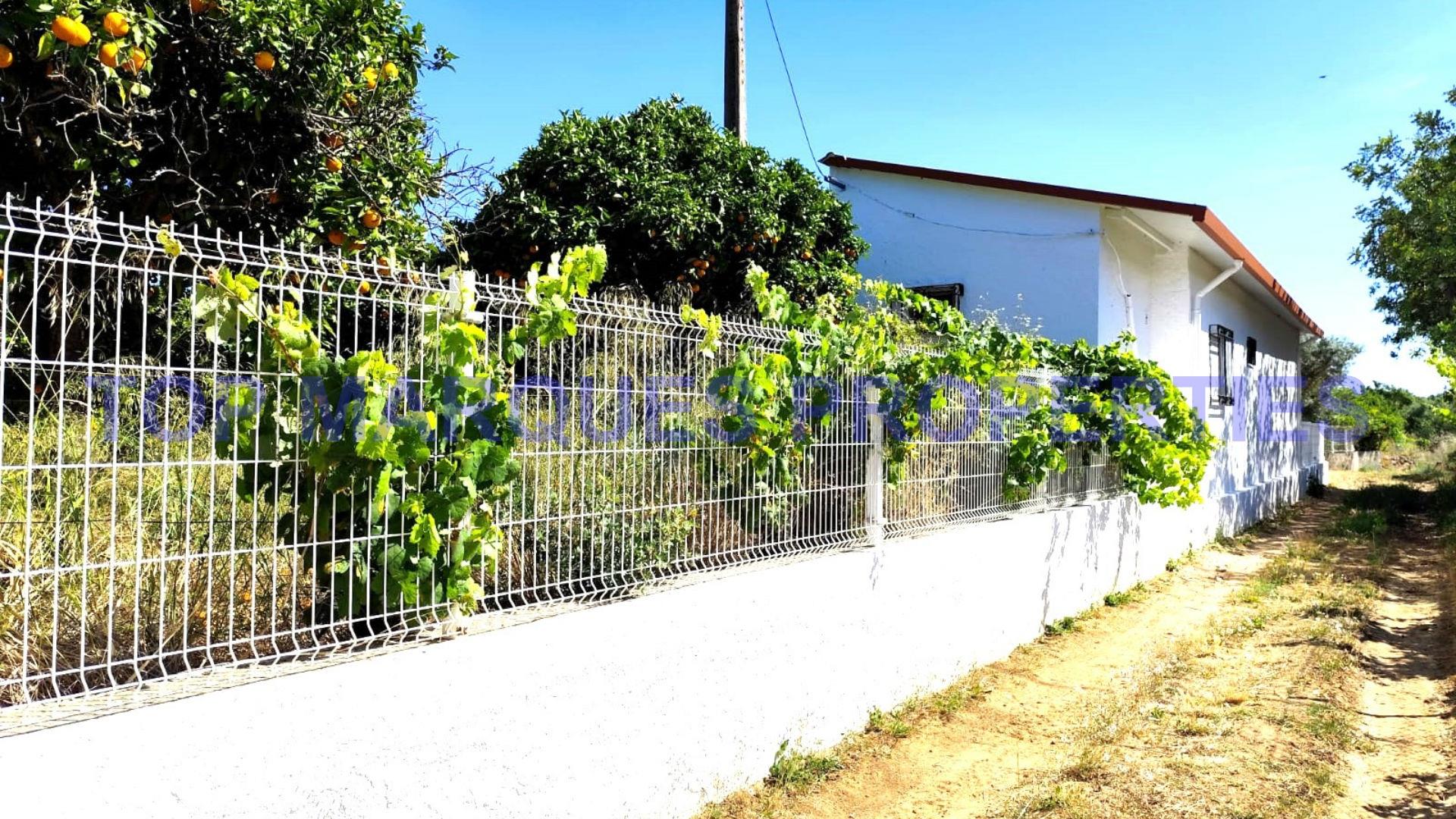 Einfamilienhaus 3 Schlafzimmer Verkaufen in Moncarapacho e Fuseta,Olhão