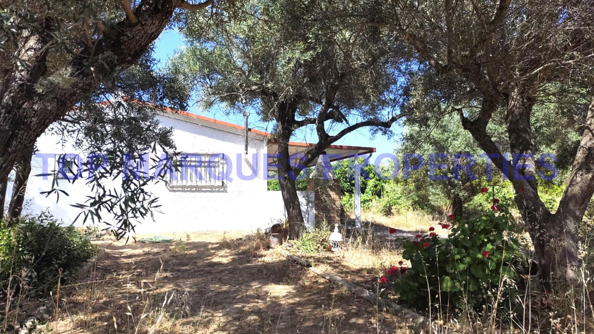 Einfamilienhaus 3 Schlafzimmer Verkaufen in Moncarapacho e Fuseta,Olhão