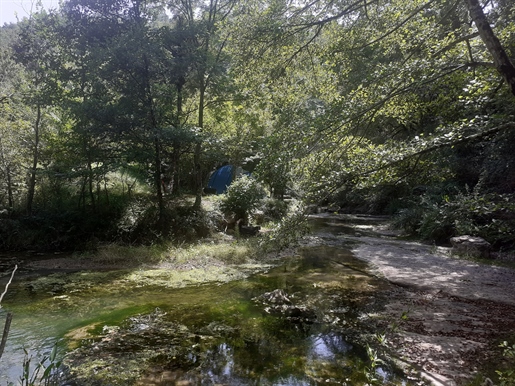 Very nice property on 1 hectare of wooded land, quiet, with access to the river and swimming pool.