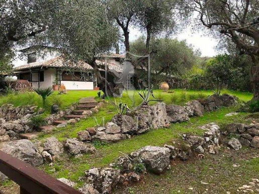 Freistehende Villa von 280 m2 in Capalbio