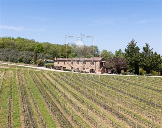 Wiejski/Gospodarstwo rolne/Dziedziniec o powierzchni 430 m2 w Castellina in Chianti