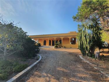 Villa Lecce modernized with a plot of 15000 square meters 4.5 km from the center and the sea