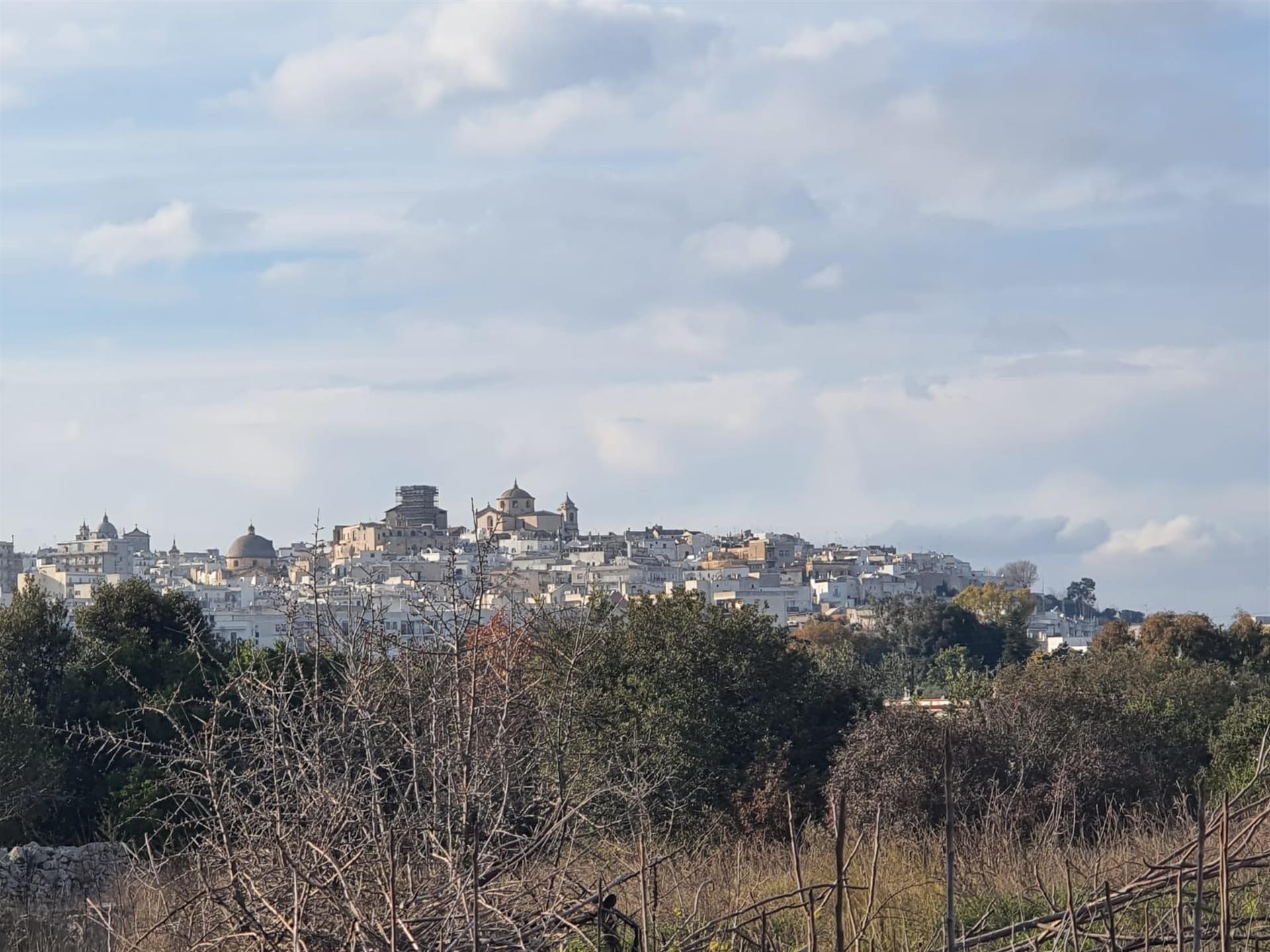 Historic Masseria with complexes of three-cone trulli and large garden