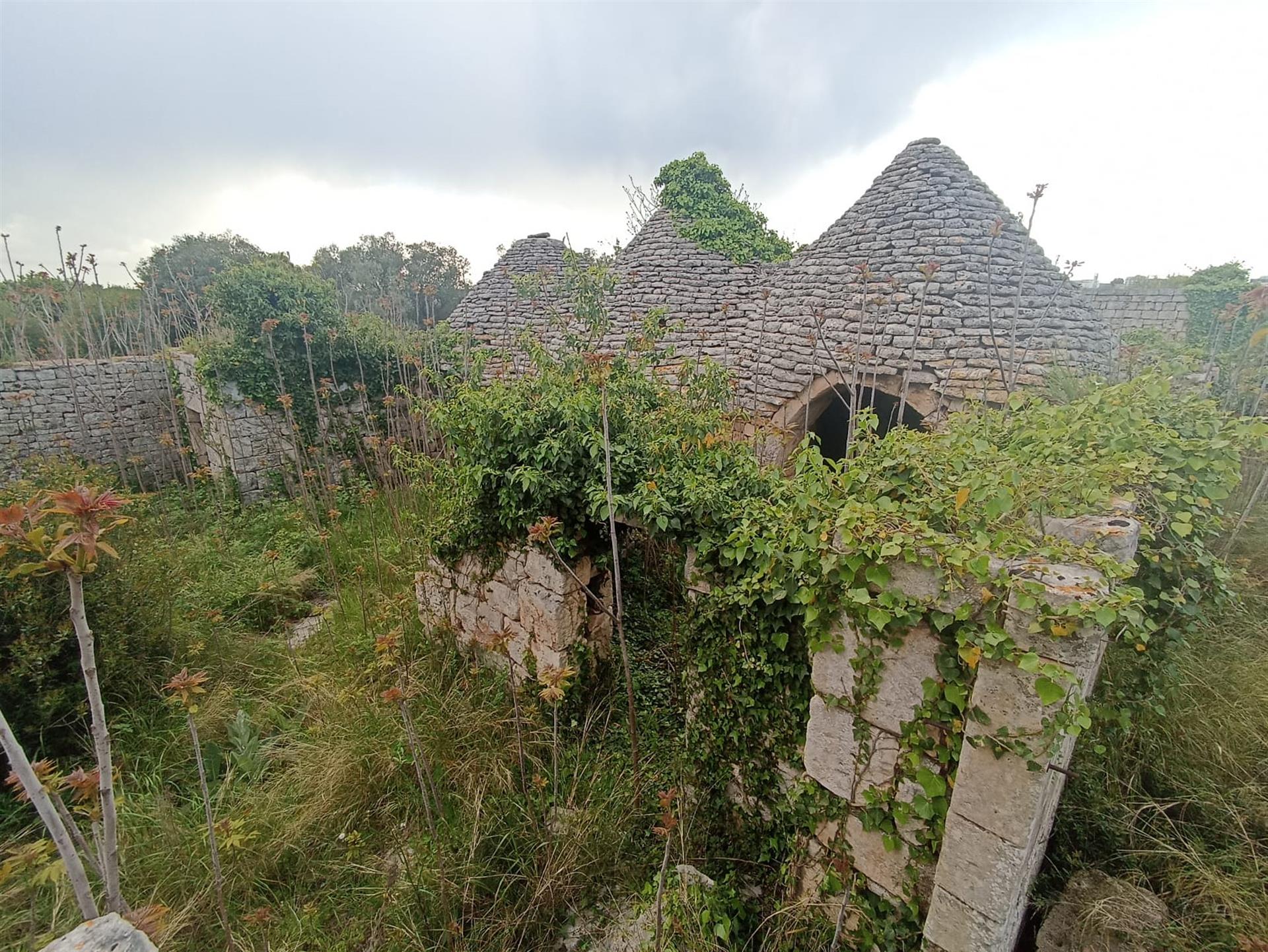 Historic Masseria with complexes of three-cone trulli and large garden