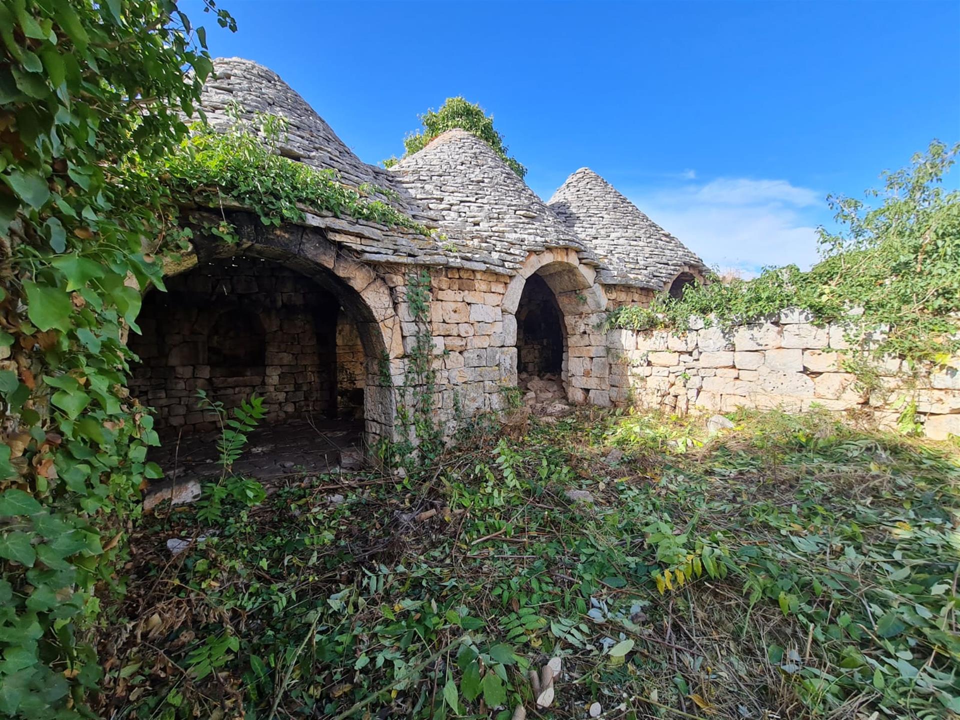 Historic Masseria with complexes of three-cone trulli and large garden