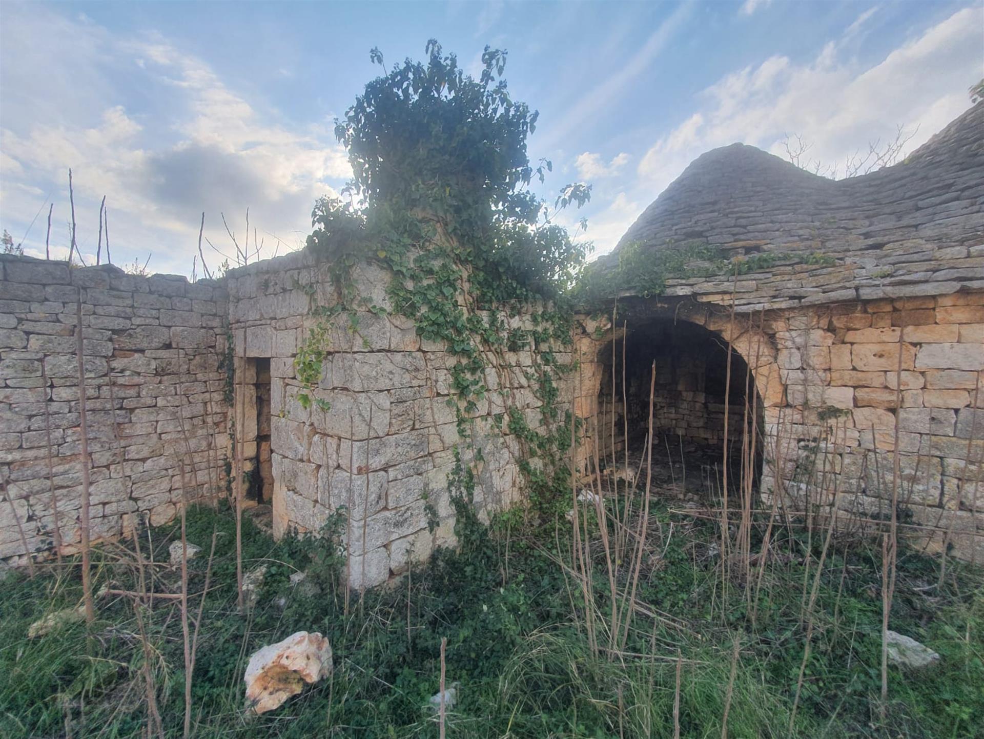 Historic Masseria with complexes of three-cone trulli and large garden