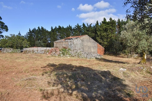 Tierra en el Coimbra, Condeixa-a-Nova