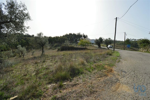 Tierra en el Leiria, Ansião