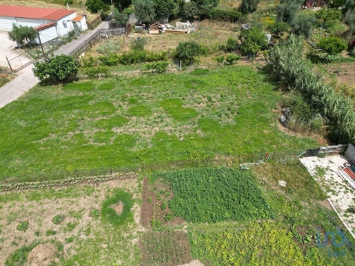 Agricultural Land in Miranda do Corvo with 580,00 m²