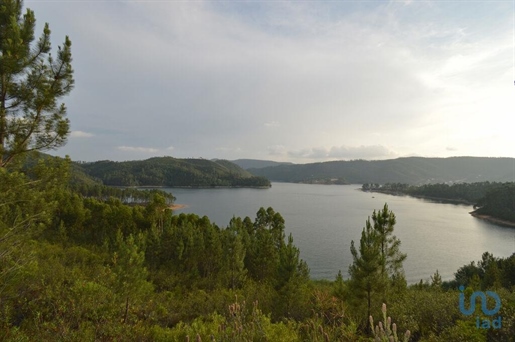 Terreno em Sertã de 9450,00 m²