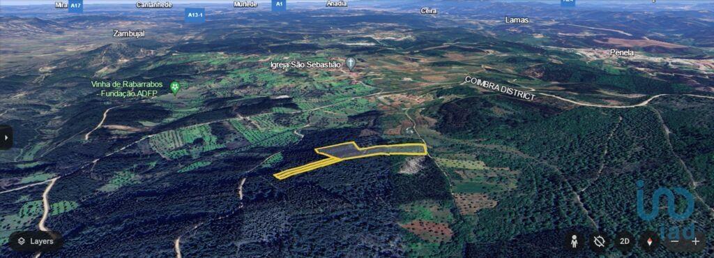 Tierras agrícolas en el Leiria, Ansião