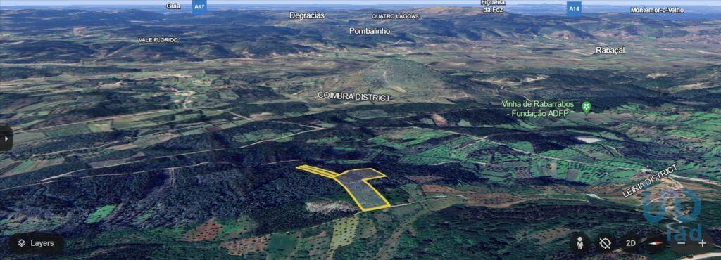 Tierras agrícolas en el Leiria, Ansião