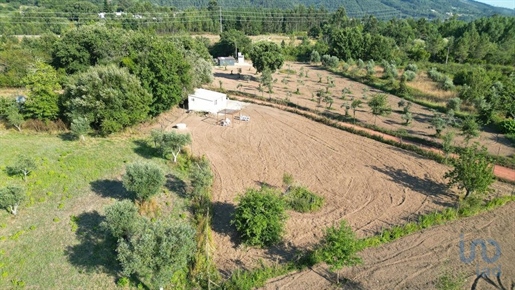 Terreno em Espinhal