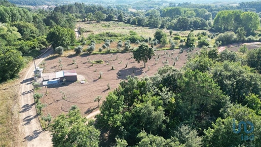 Agricultural Land in Espinhal