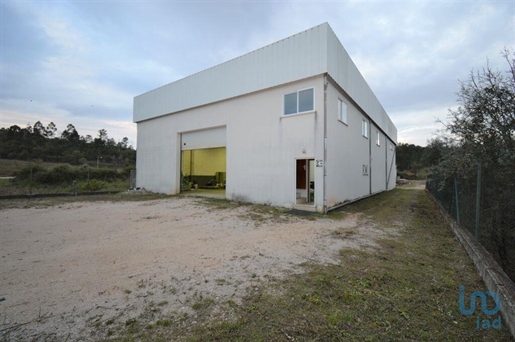 Hangar en el Coimbra, Penela