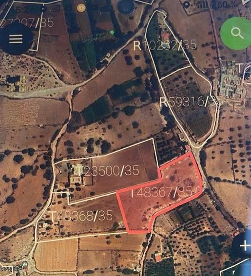 Magnificent building plot of 1 hectare with Avna