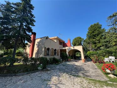 Villa entre Fano et Pesaro avec 1 Ha de terrain.