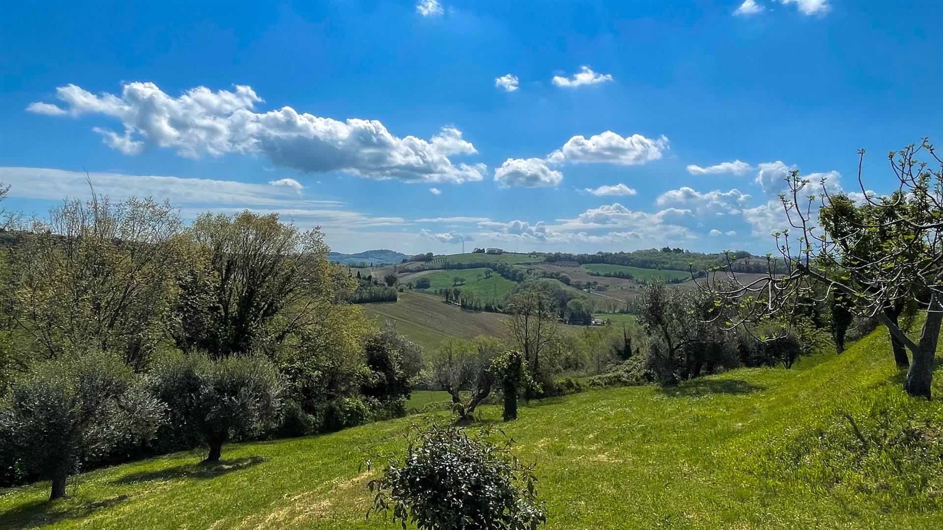 Restored farmhouse between Fano and Pesaro 